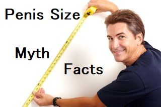 Penis size myth & facts